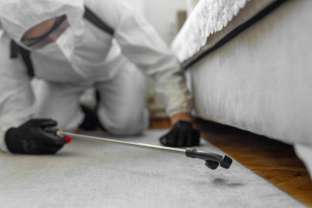 Professional Termite Control technician working in University City, MO