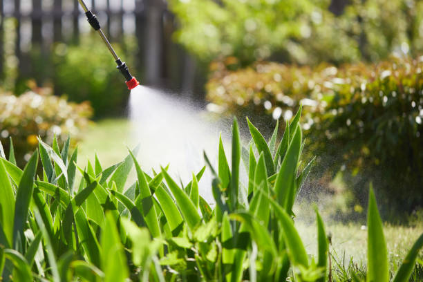 24/7 Emergency Termite Control experts in University City, MO