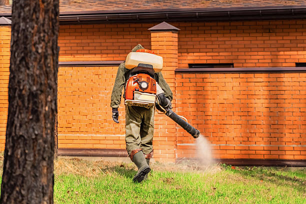 Trusted Mosquito Control service in University City, MO - Nex Pest Control